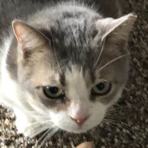 Meet your Posher, Tracey